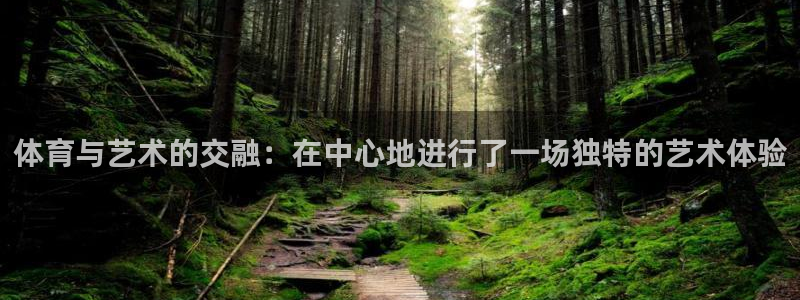 中欧体育集团