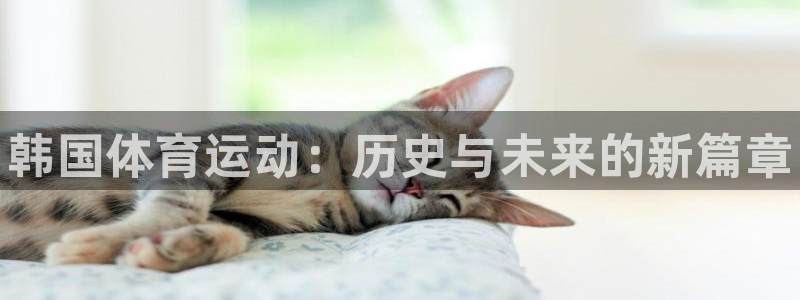 中欧体育zoty下载