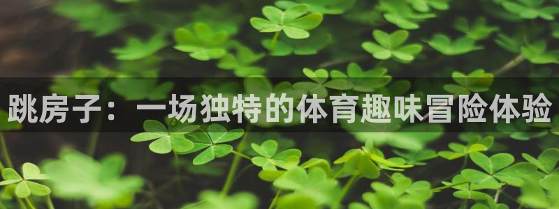 中欧体育平台