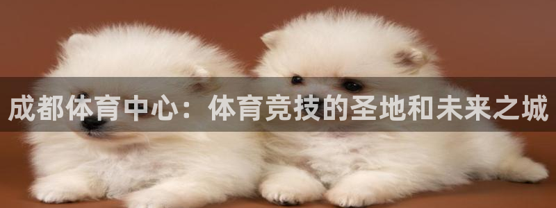 中欧体育网页版