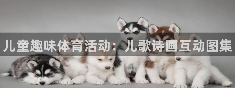 kok中欧体育登录