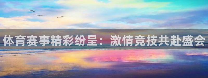 中欧体育kok官网首页