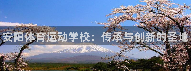 中欧体育kok