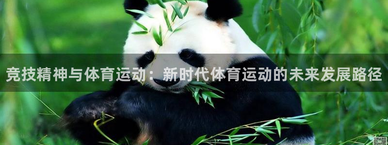 中欧体育