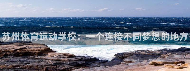 zoty中欧体育网址多少