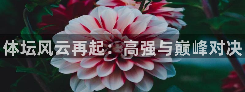 中欧体育app