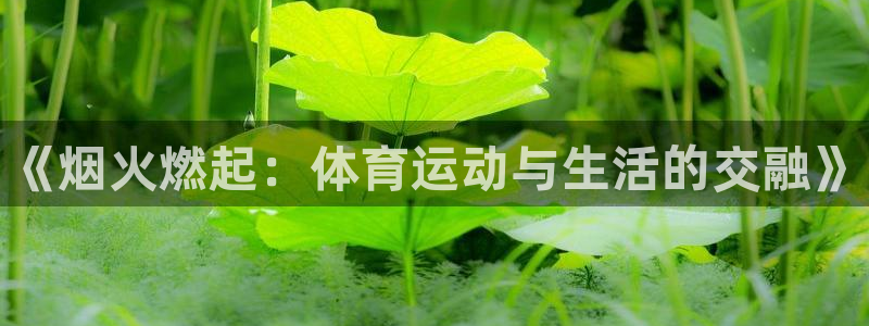 中欧体育kok官网首页