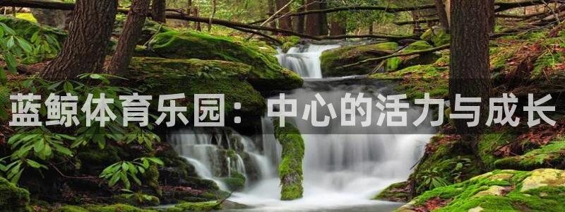 中欧体育登录