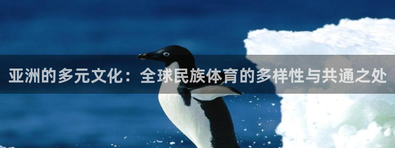 中欧体育下载