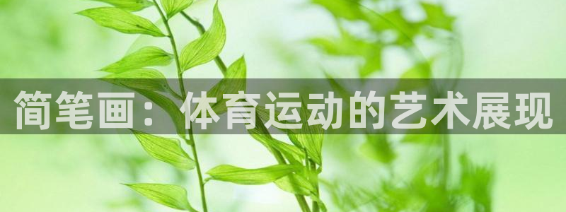 kok中欧体育