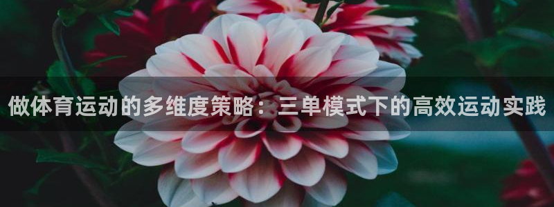 中欧体育zoty下载