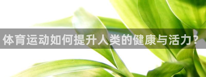 zoty中欧体育
