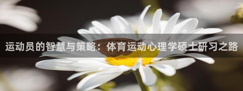 中欧体育kok官网首页