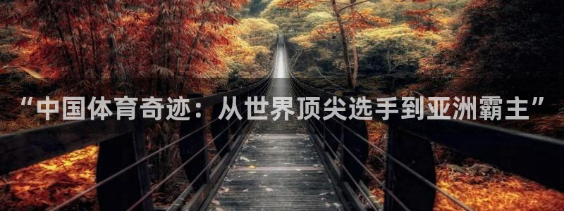 中欧体育李勇鸿