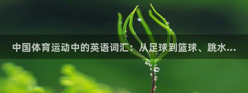kok中欧体育登录