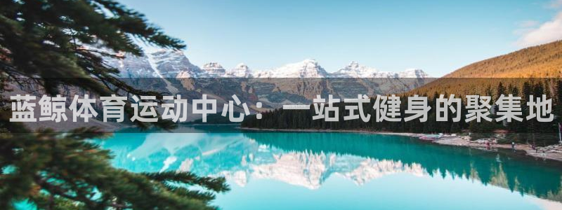 中欧体育集团