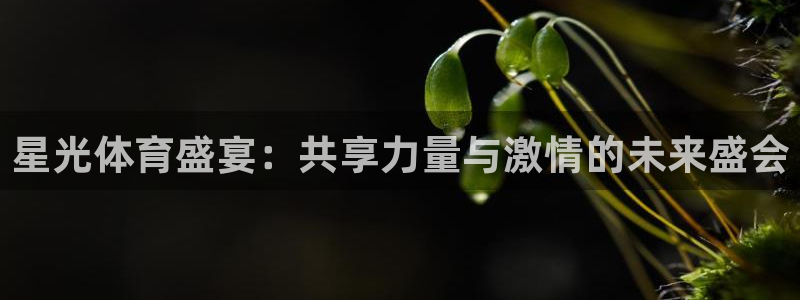 中欧体育网站