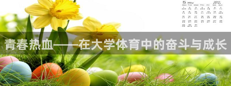 中欧体育