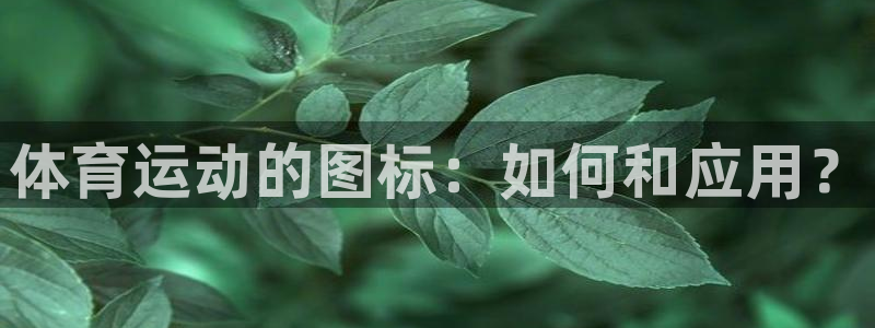 中欧体育