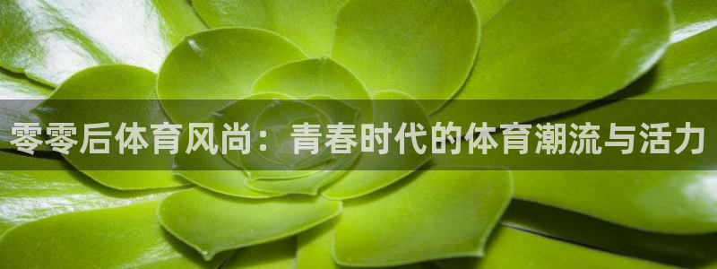中欧体育网页版
