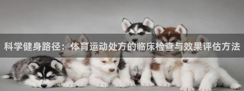 中欧体育李勇鸿