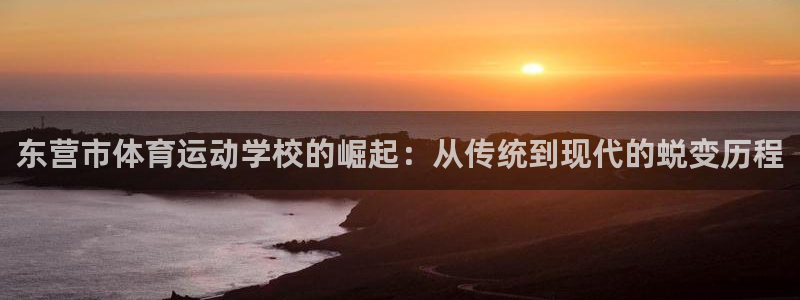 中欧体育登录