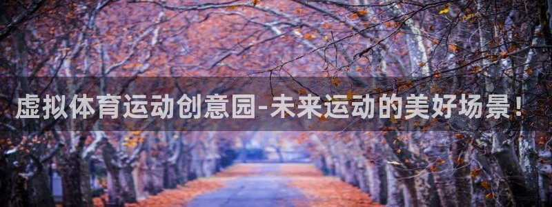 中欧体育全站app