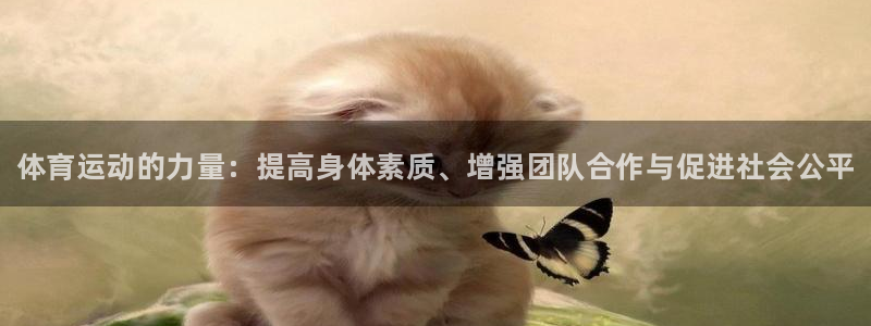 中欧体育官网入口