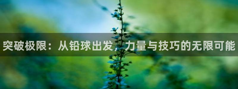 中欧体育app