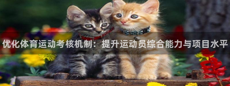 zyty中欧体育平台