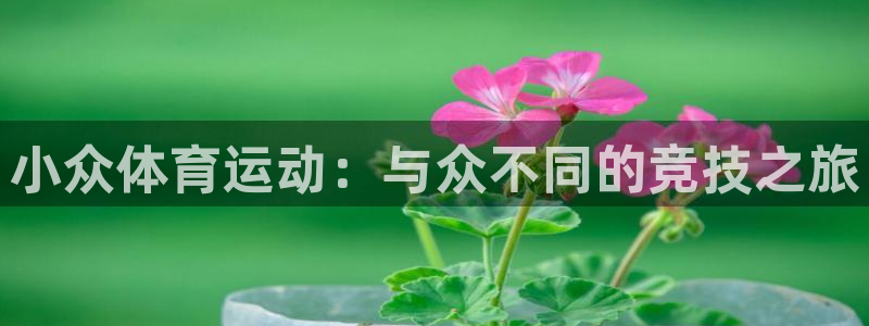 中欧体育网址