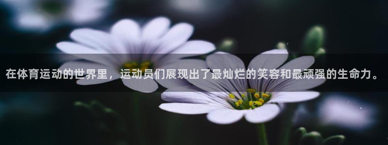 中欧体育网页版