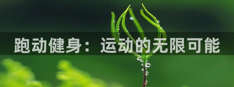 中欧体育全站app