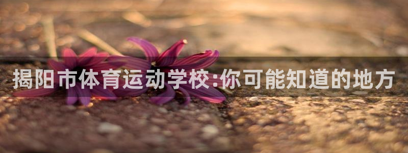 kok中欧体育登录